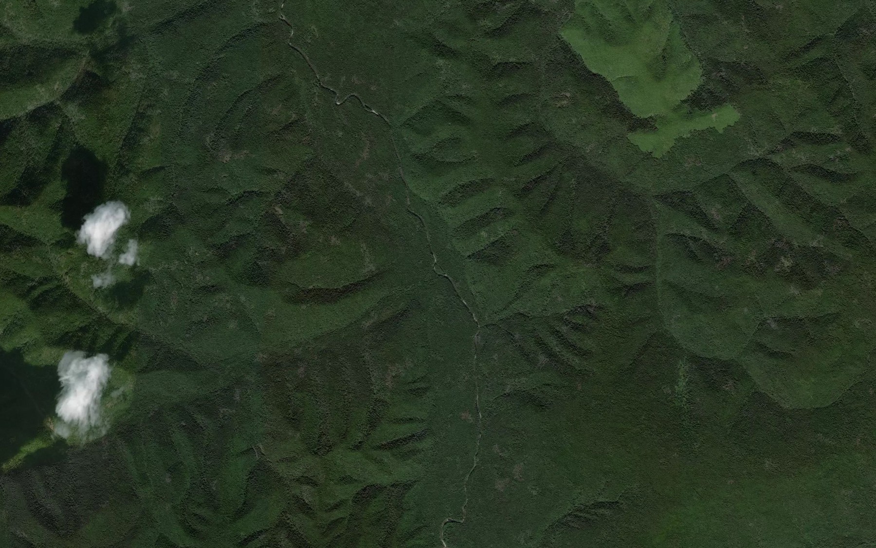 Satellite map of the Yelovyy