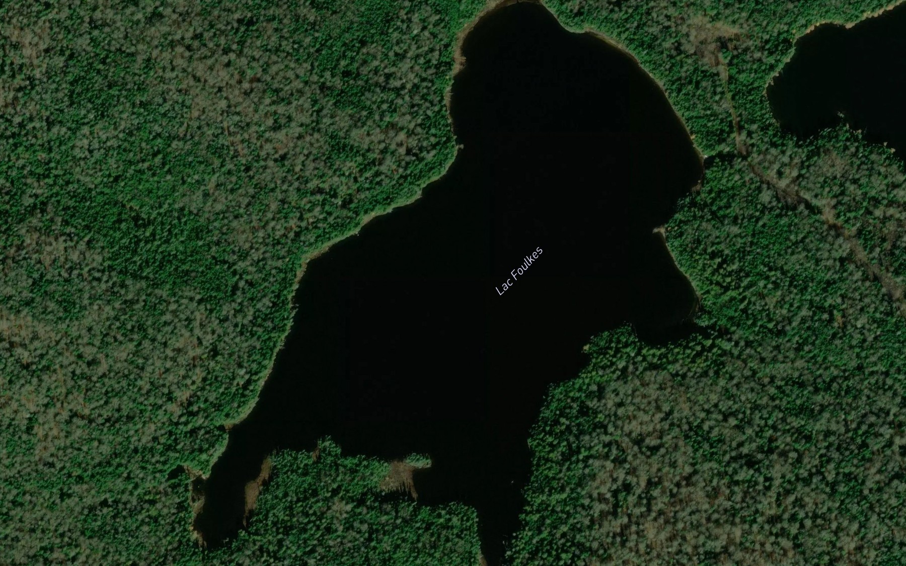 Satellite map of the Lac Foulkes