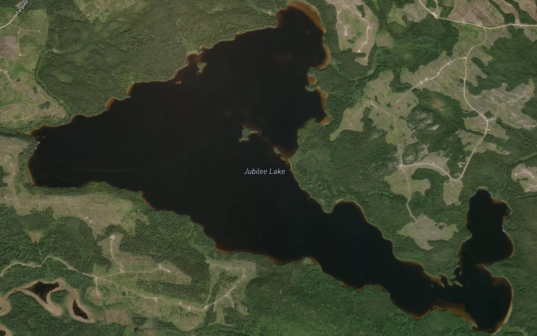Satellite map of the Jubilee Lake