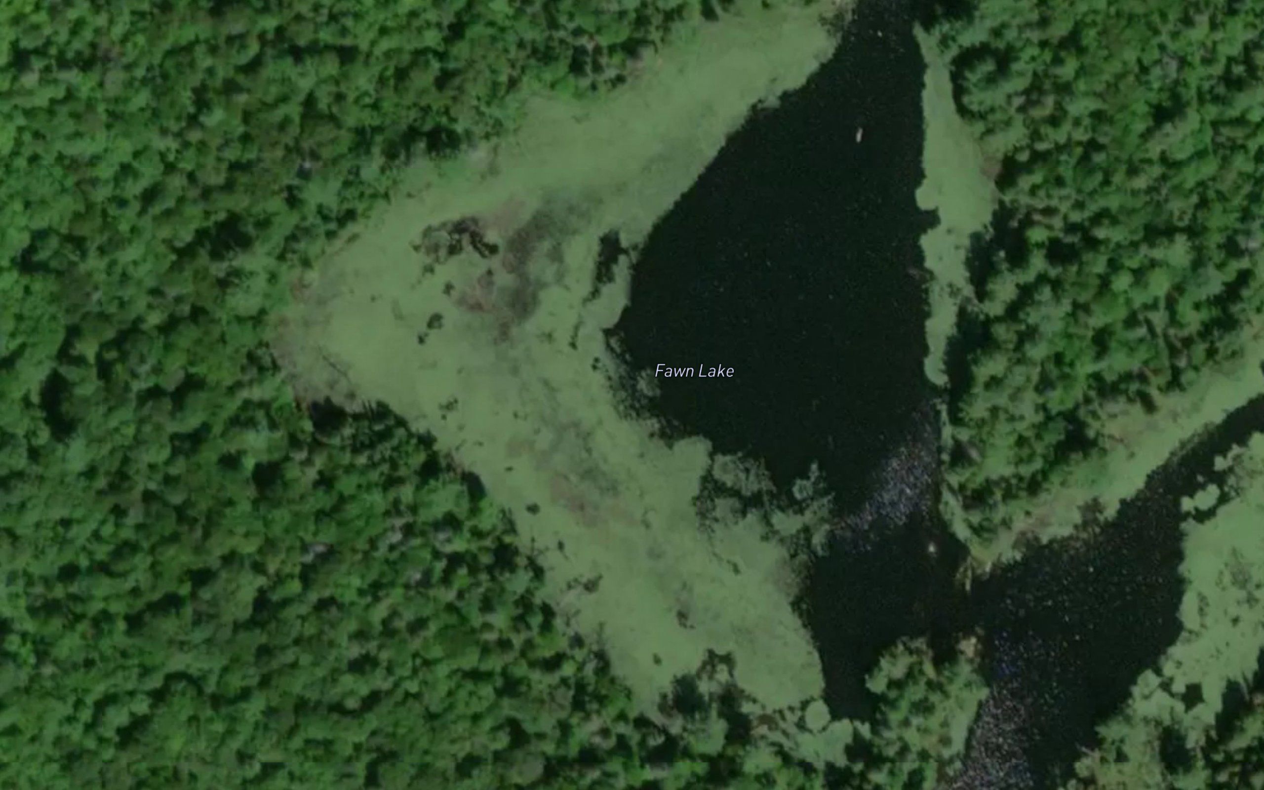 Fawn Lake