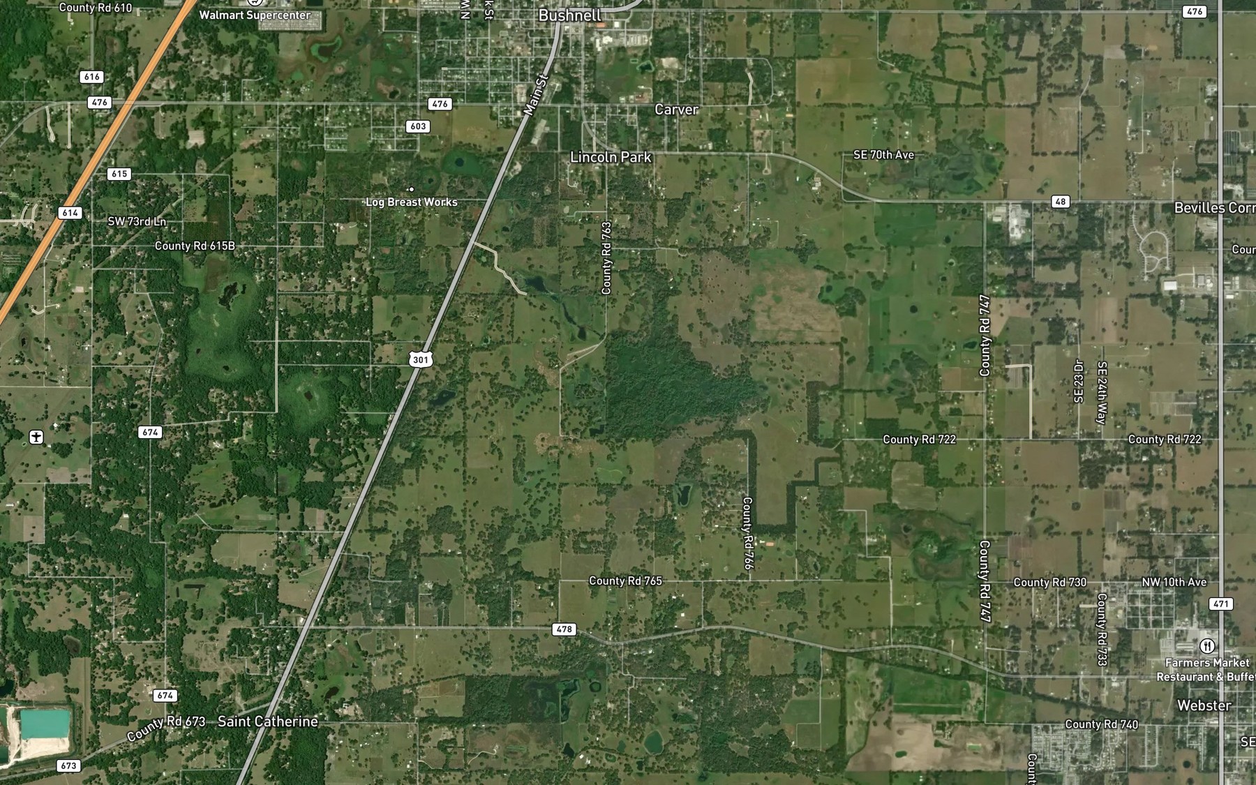 Satellite map of the Mud Lake