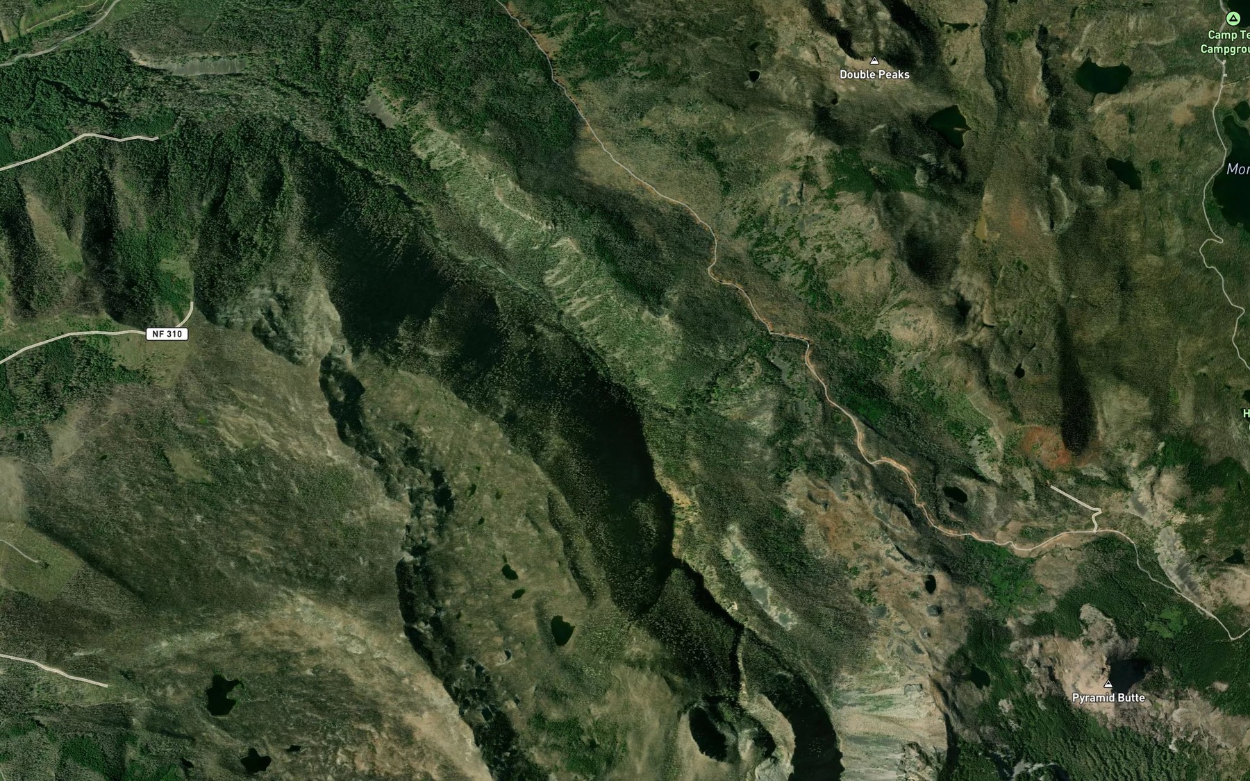 Satellite map of the South Fork North Fork Breitenbush River