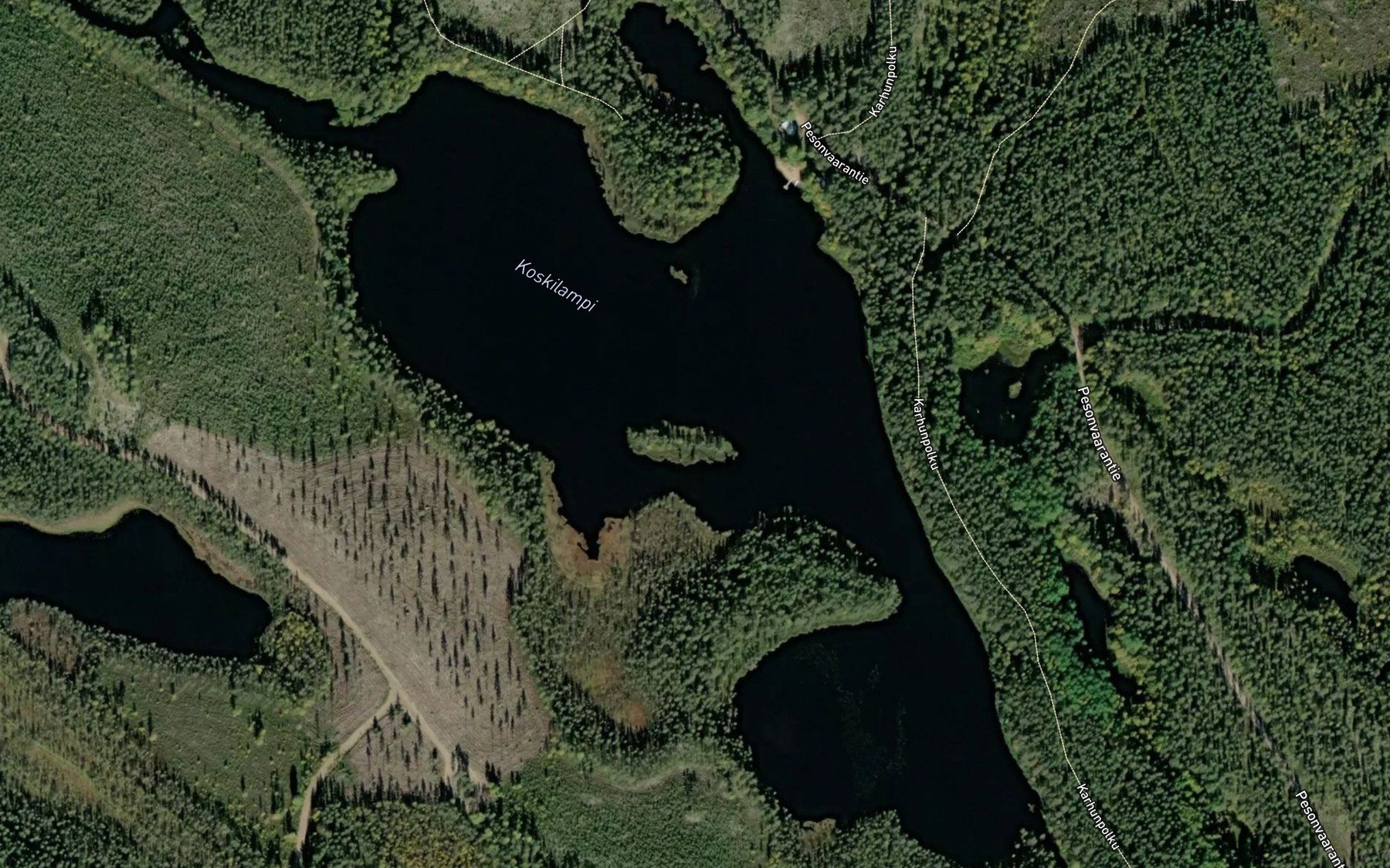 Satellite map of the Koskilampi