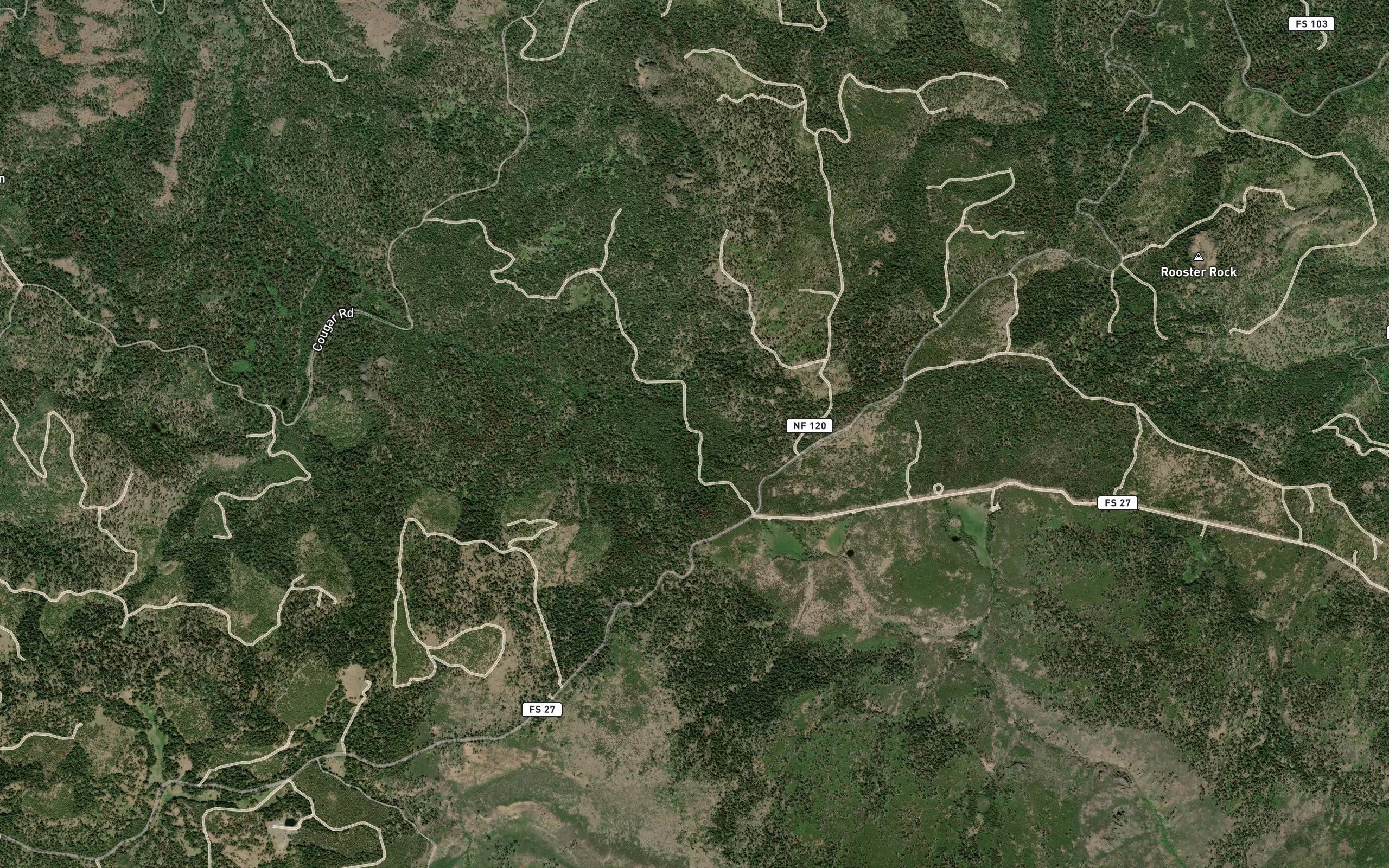 Lodgepole Spring