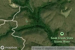 Sweeny Branch