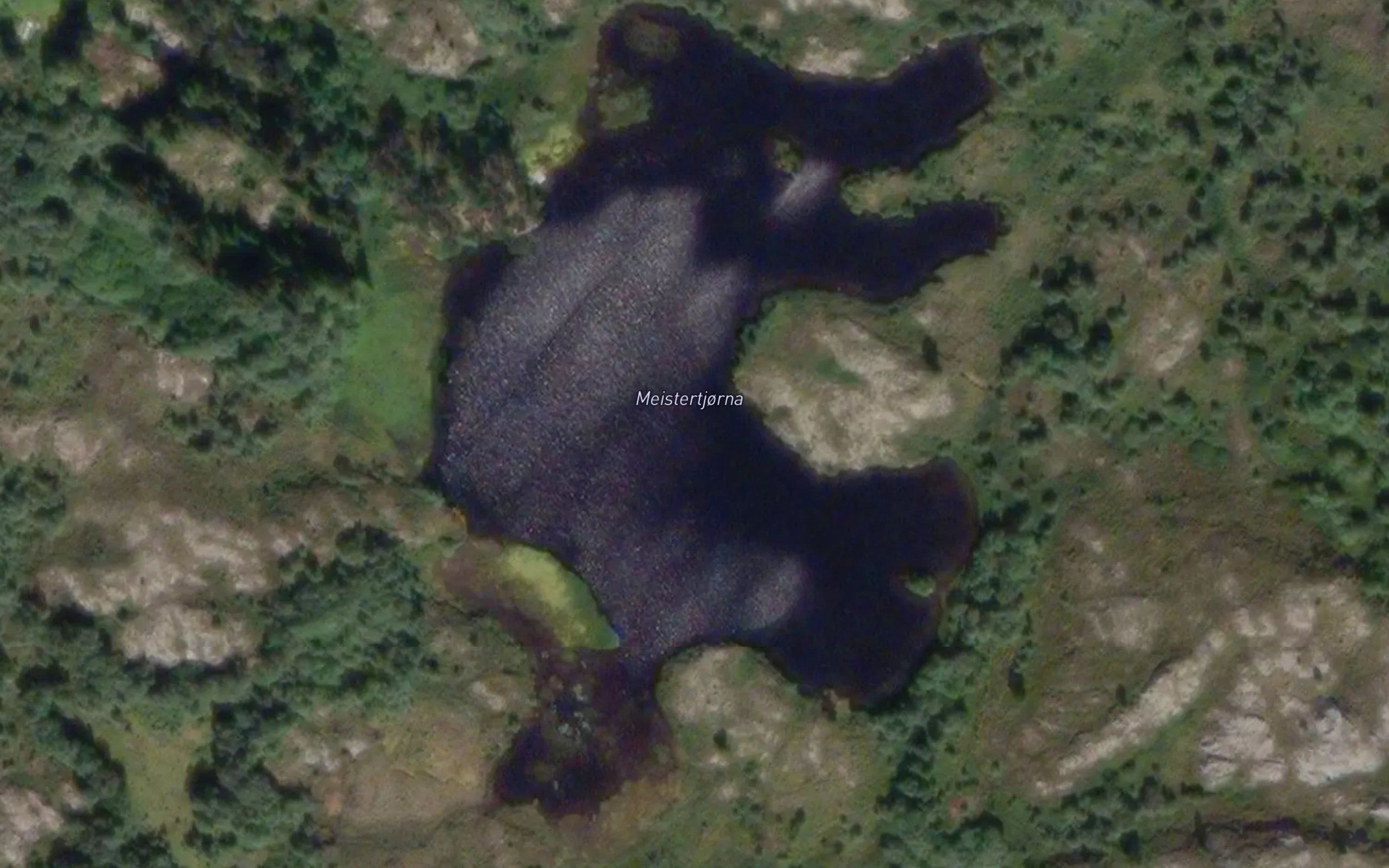 Meistertjorna