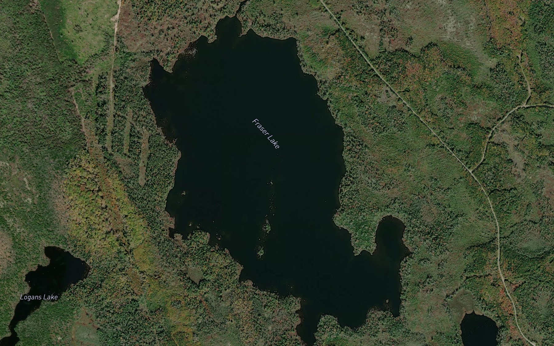 Satellite map of the Fraser Lake