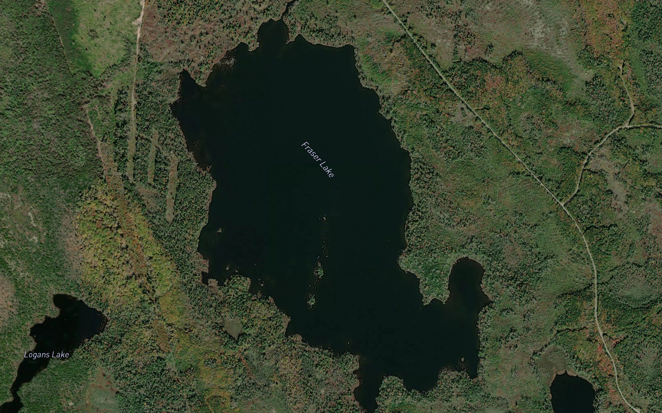 Fraser Lake