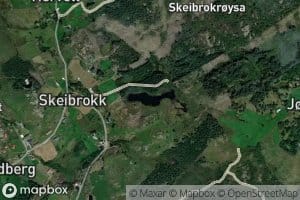 Skeibrokstemmen