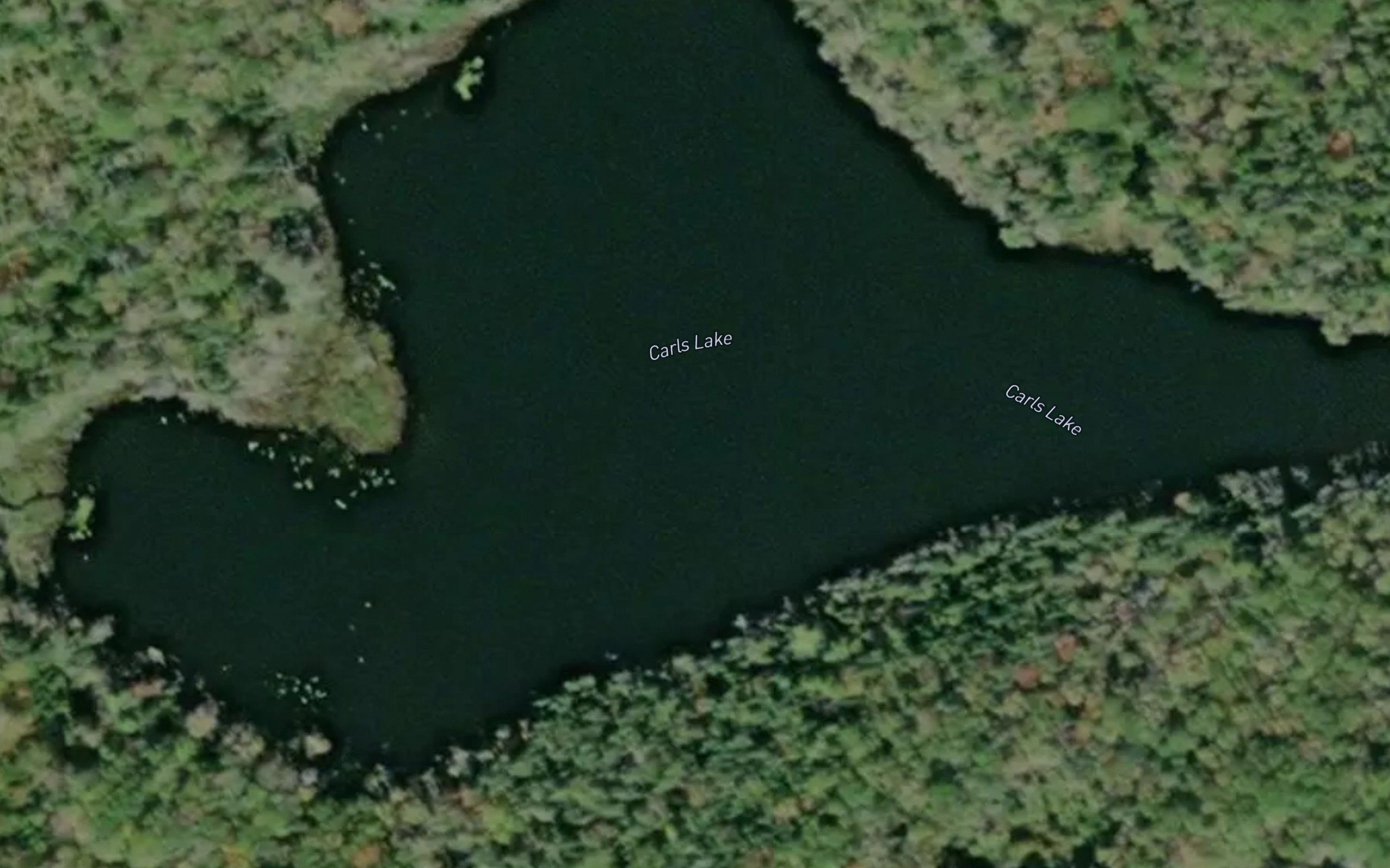 Carls Lake