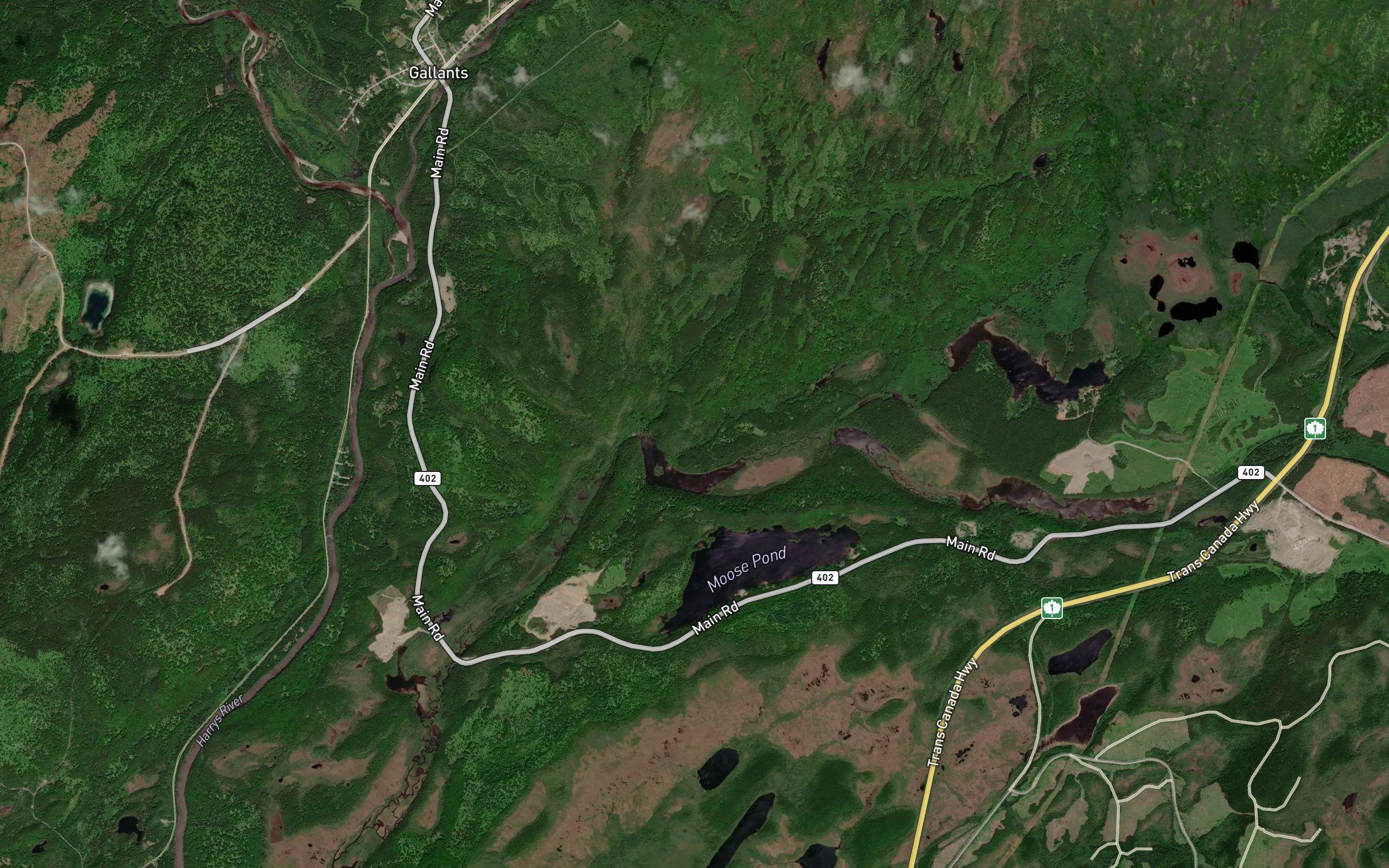 Moose Pond