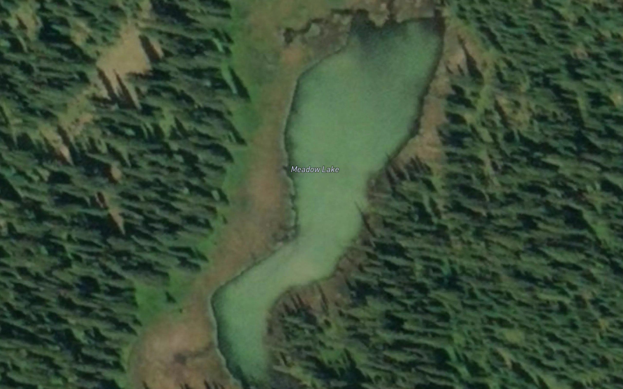 Meadow Lake