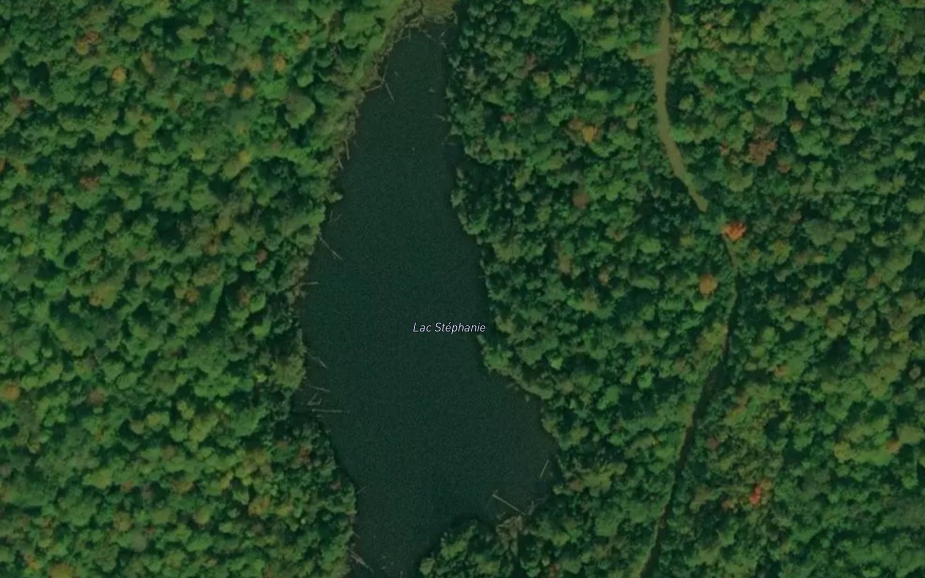 Satellite map of the Lac Stephanie