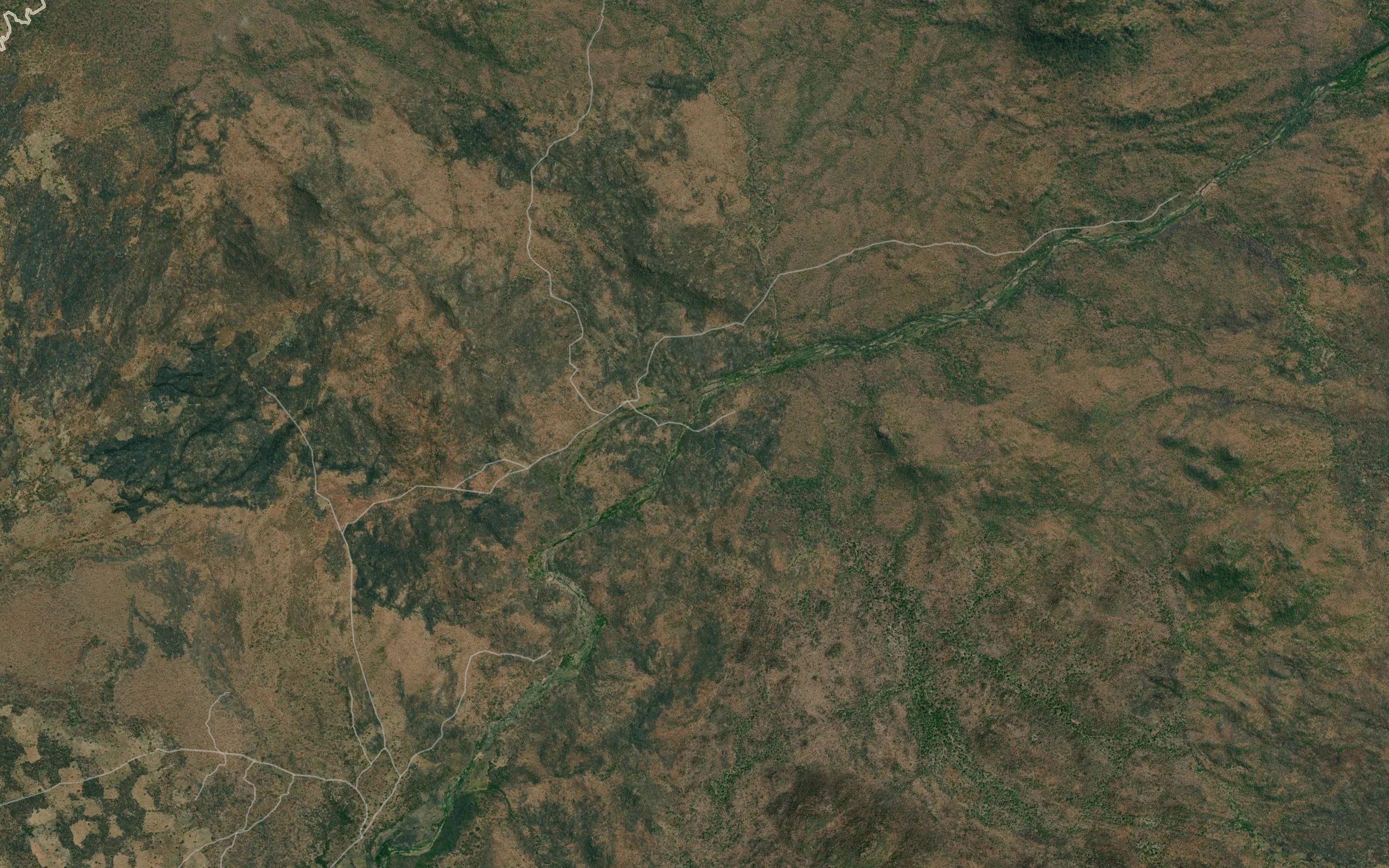 Chitata