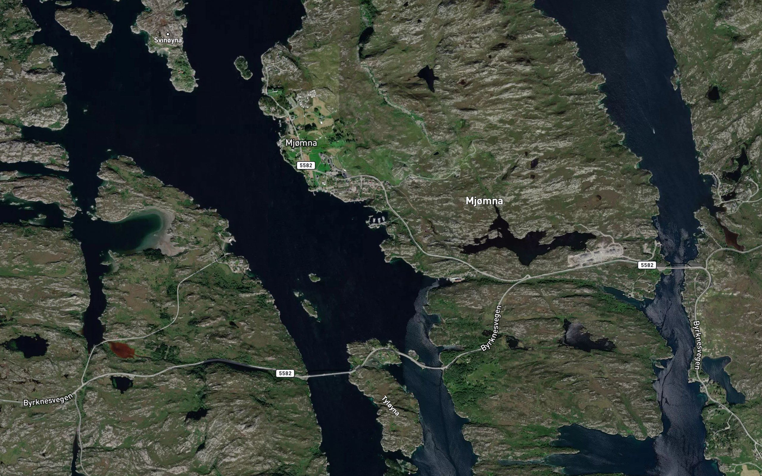 Bussevika