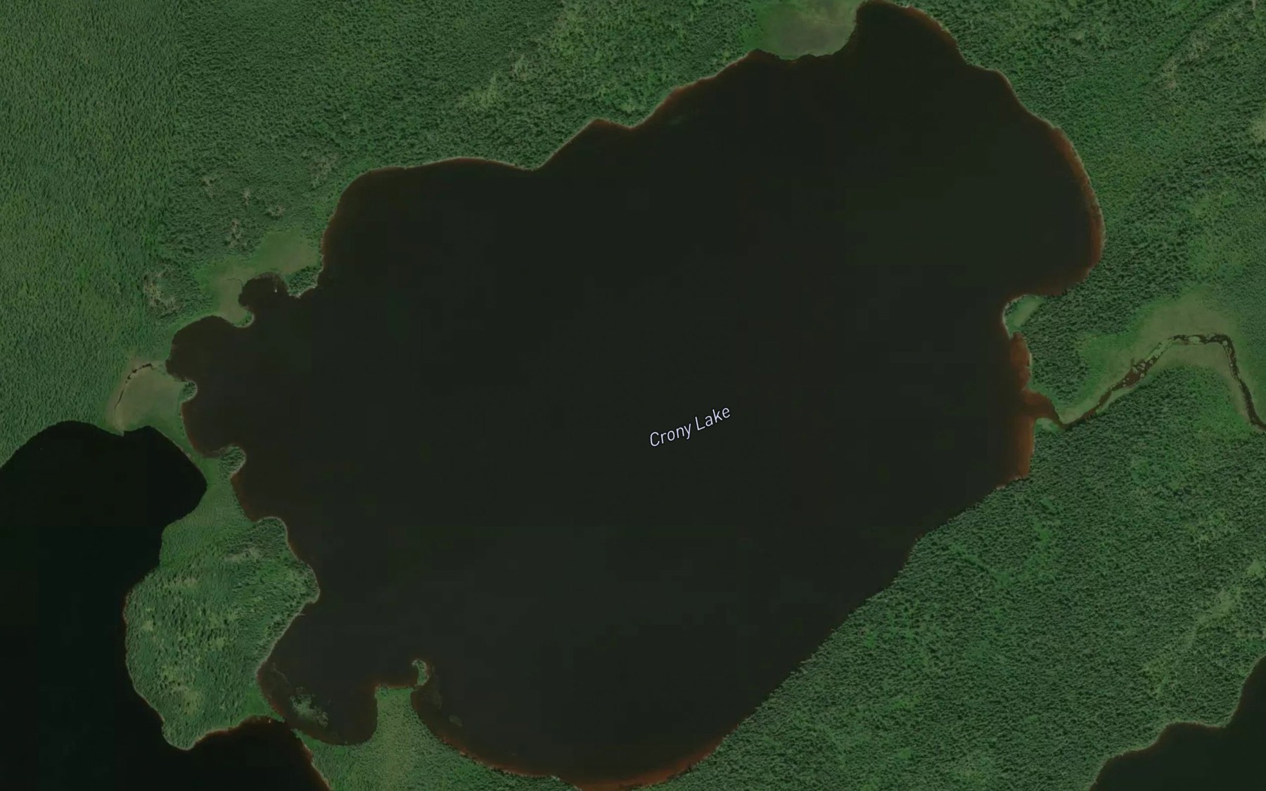 Satellite map of the Crony Lake