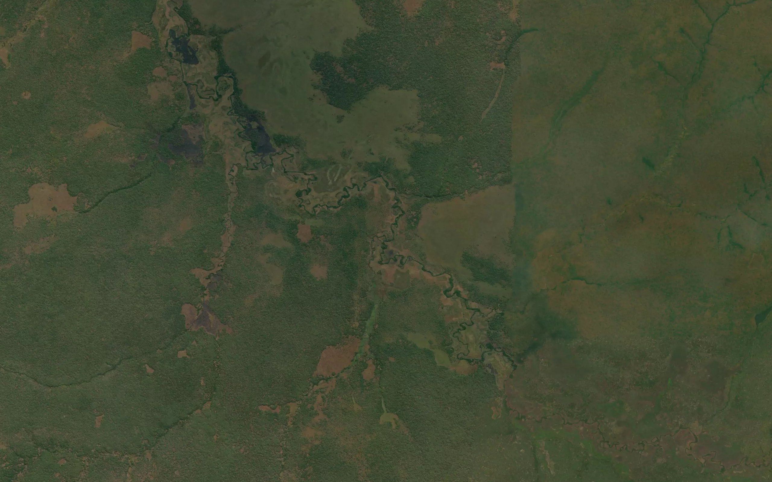 Culungo