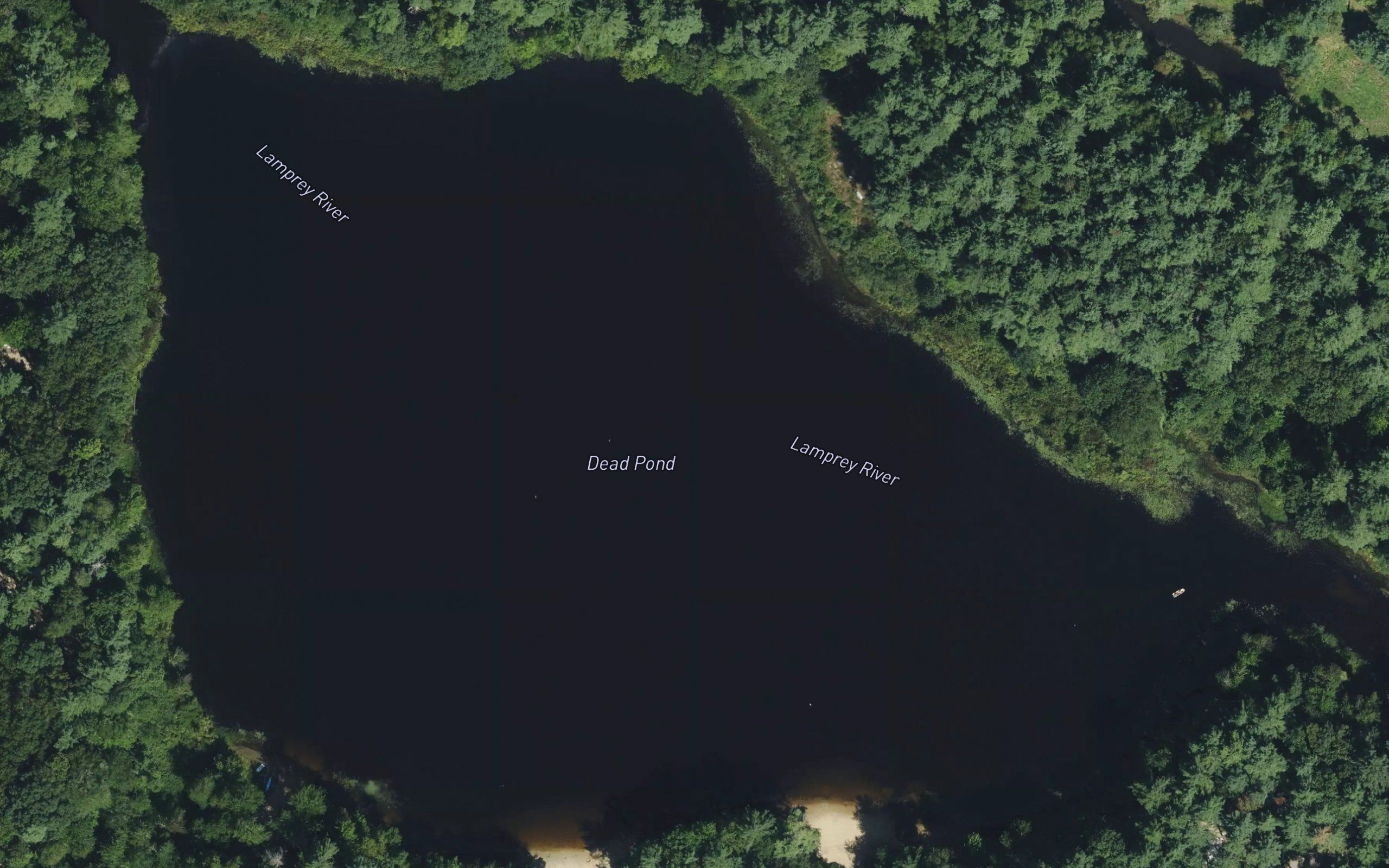 Dead Pond