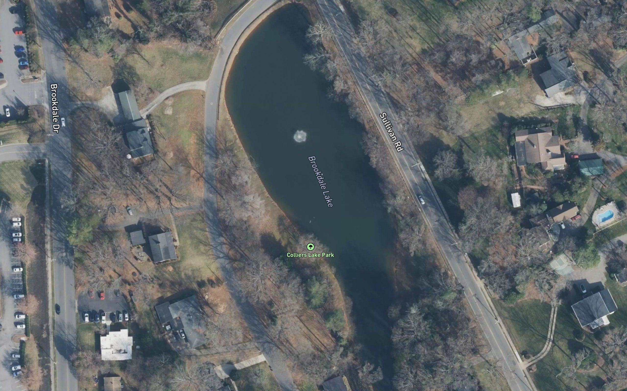 Brookdale Lake