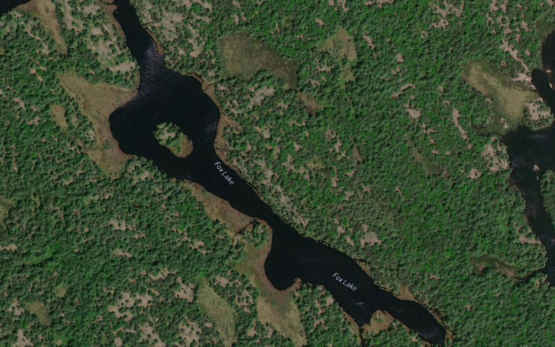 Satellite map of the Fox Lake