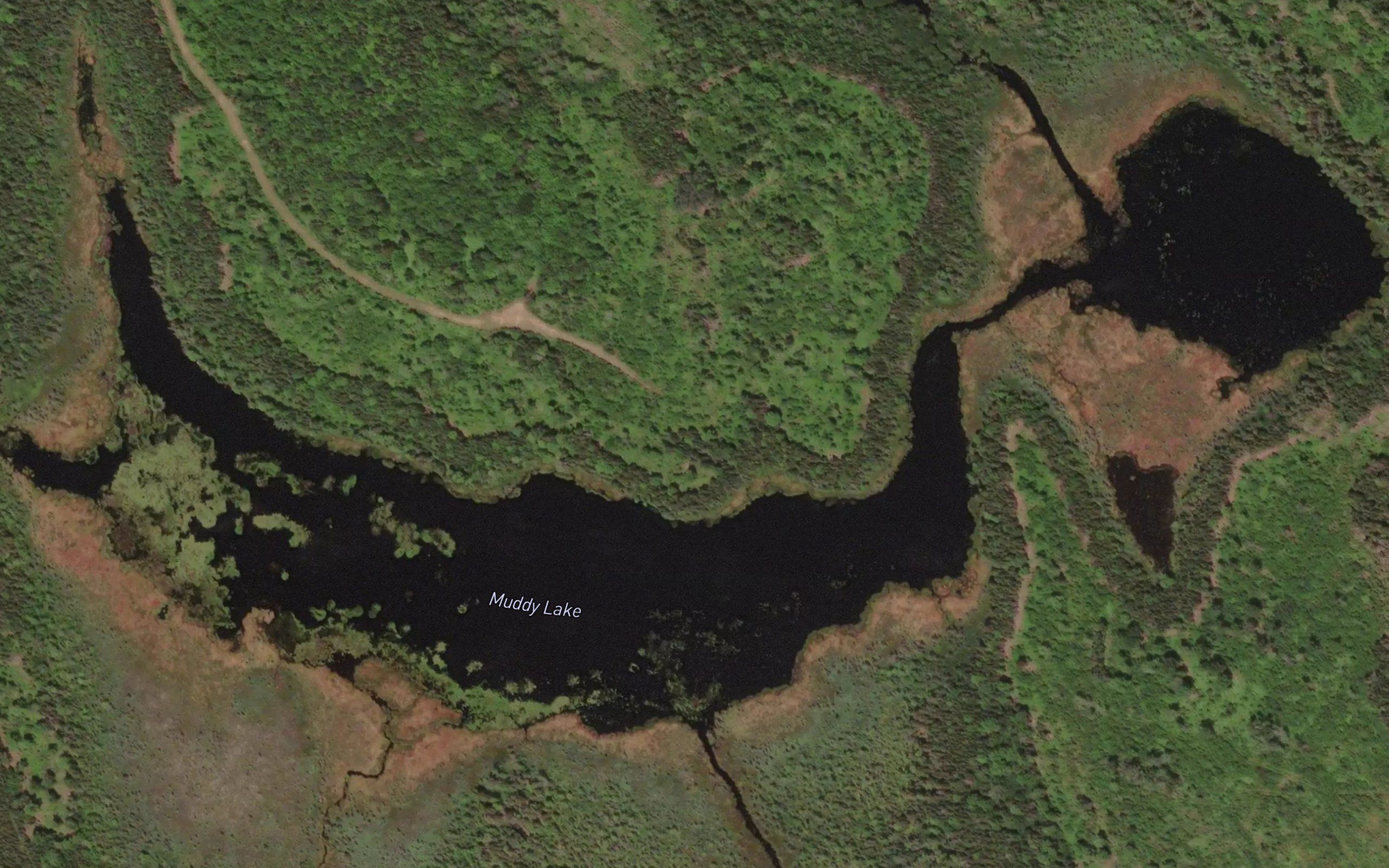 Muddy Lake