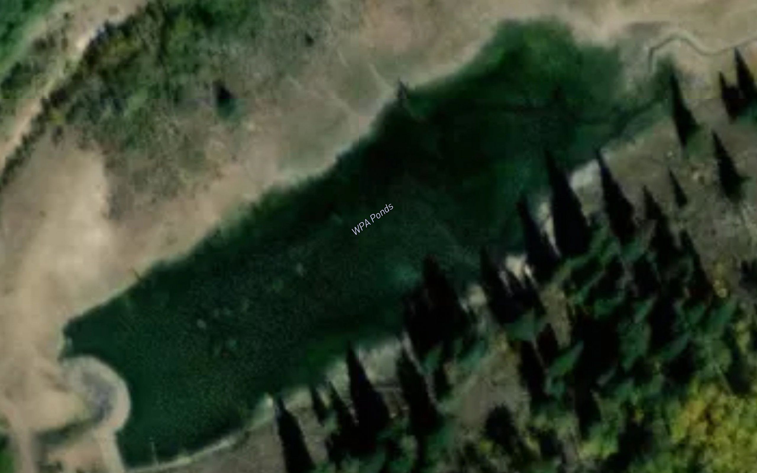 W P A Ponds