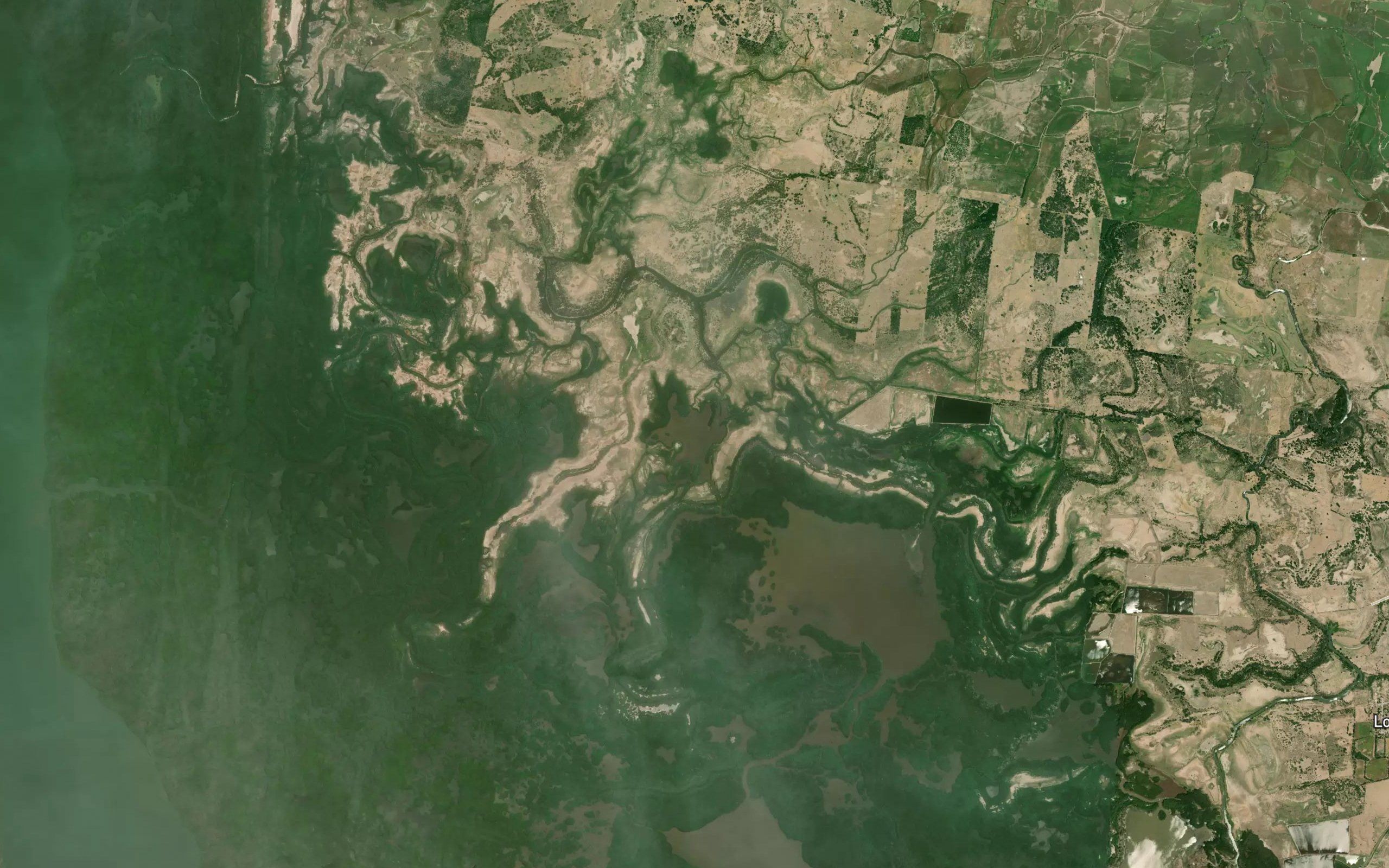 Laguna el Tasajo