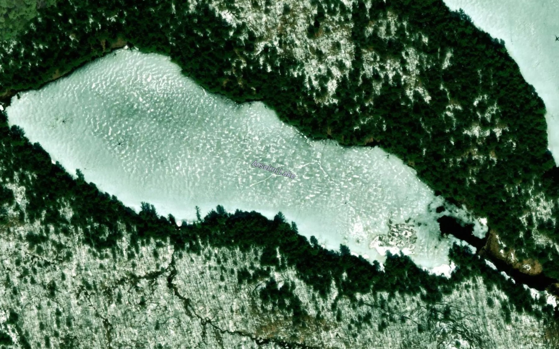 Satellite map of the Anselmi Lake