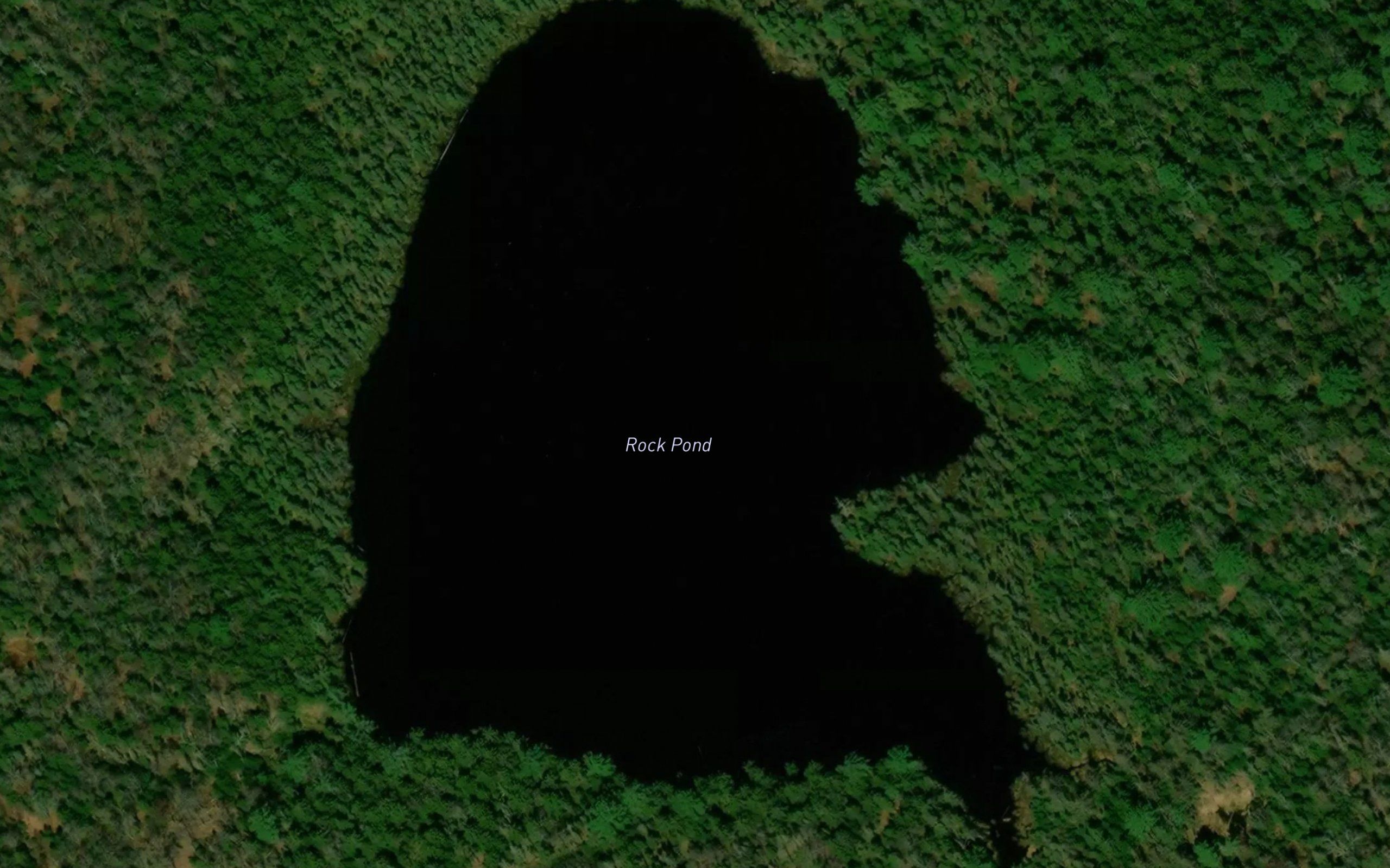 Rock Pond