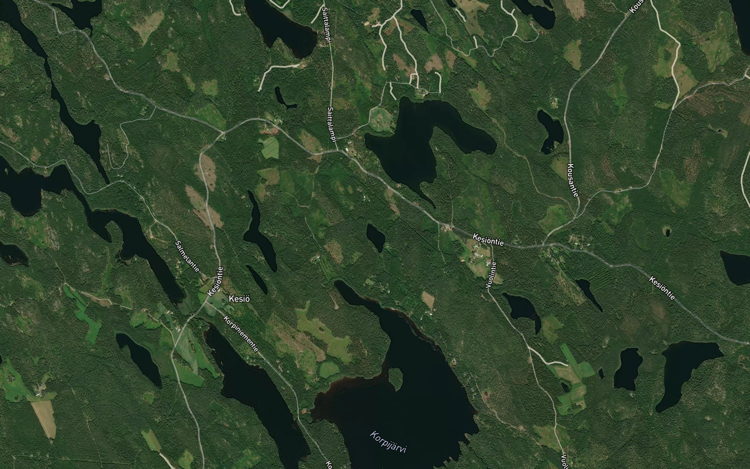 Koiralampi