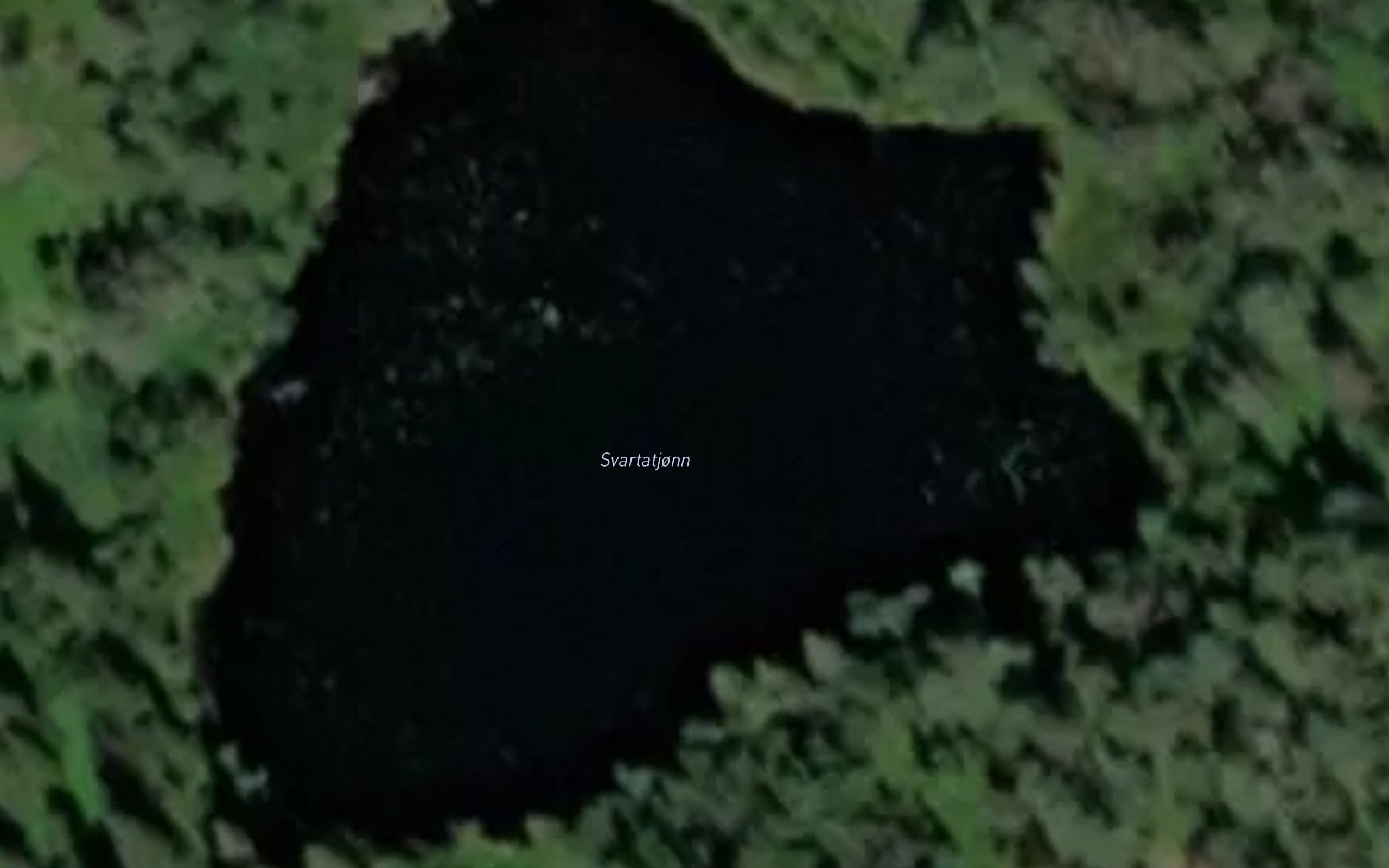 Svartatjonn