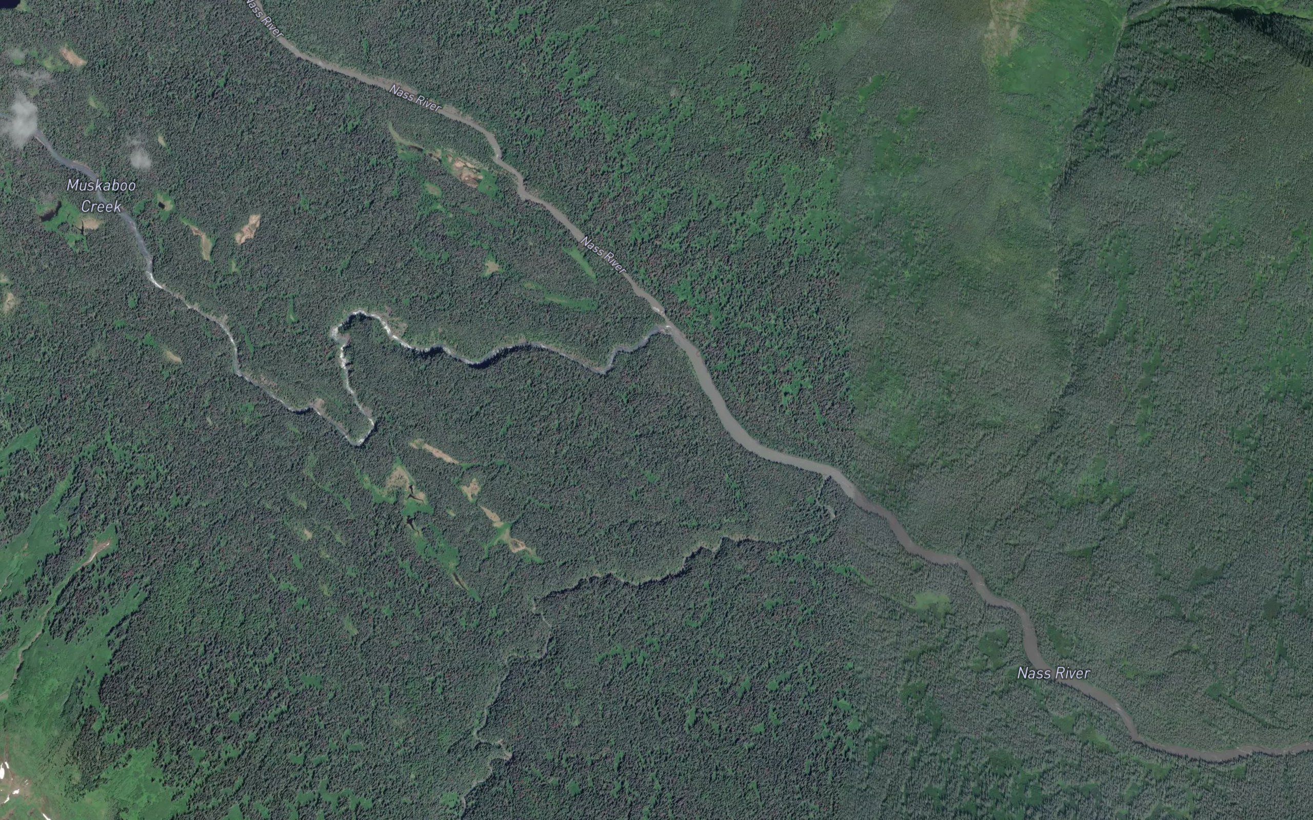 Muskaboo Creek