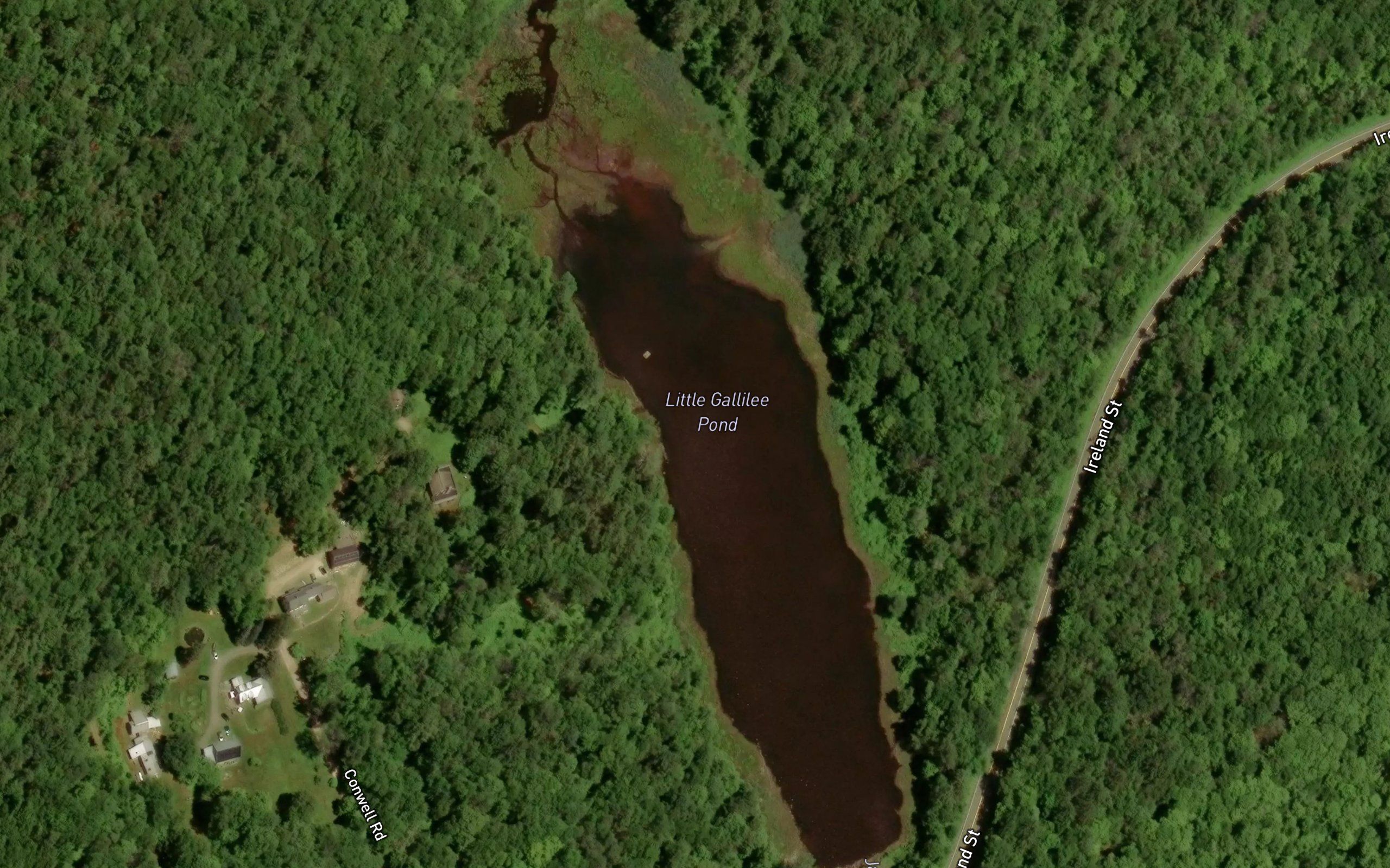 Little Gallilee Pond