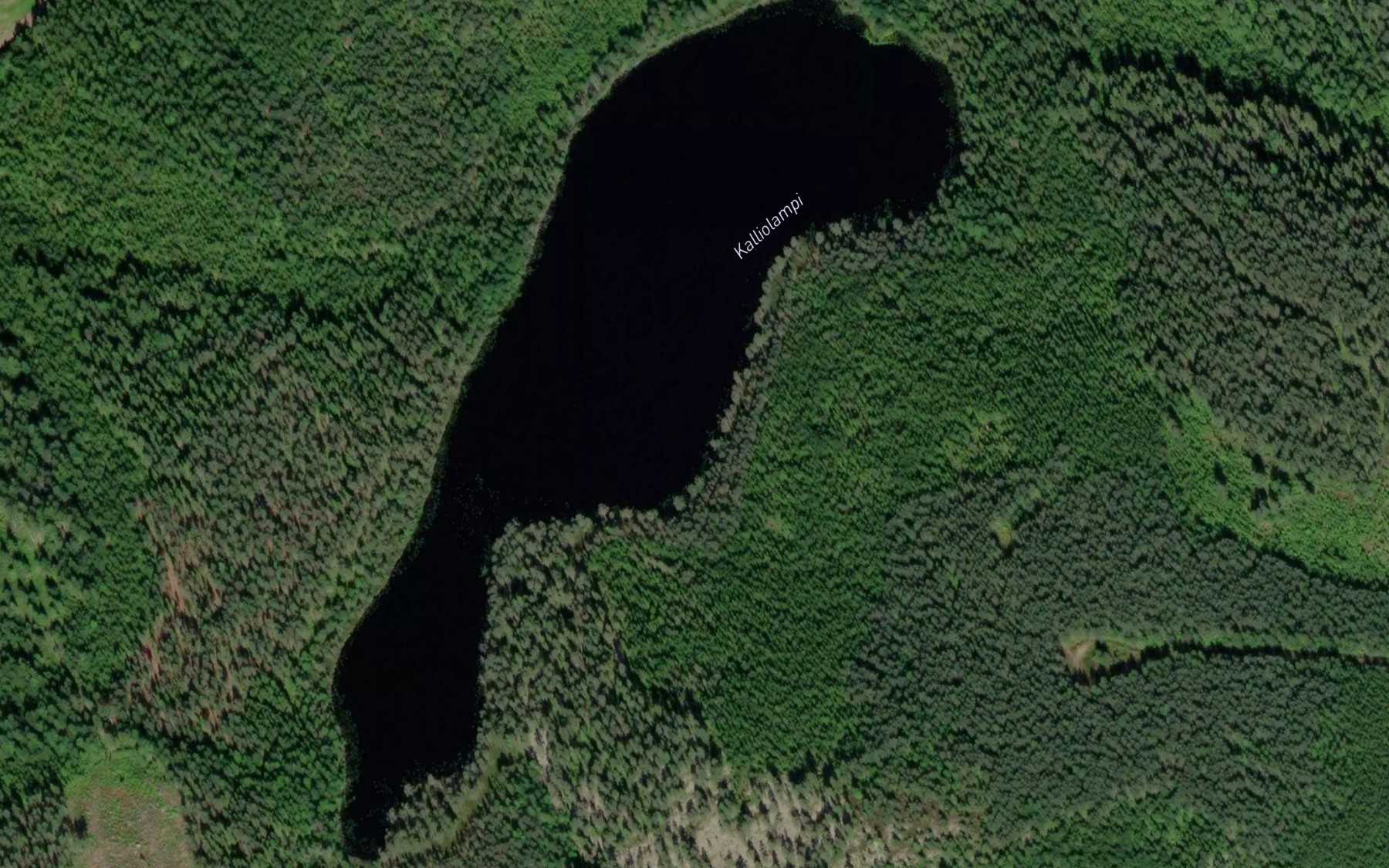 Satellite map of the Kalliolampi