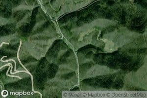 Field Fork
