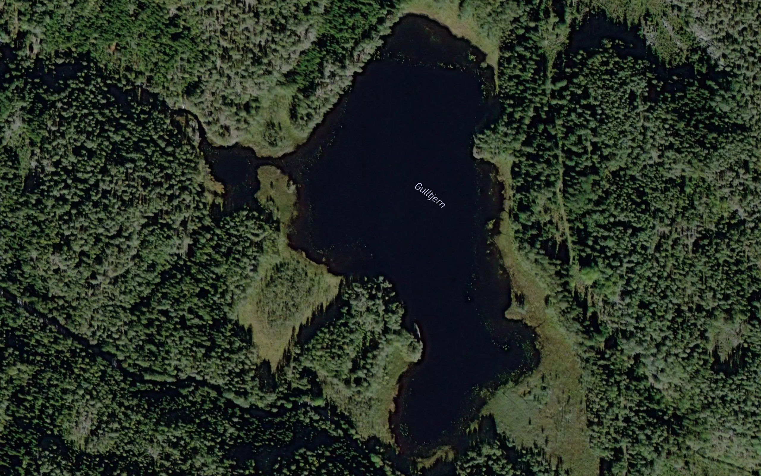 Gulltjern
