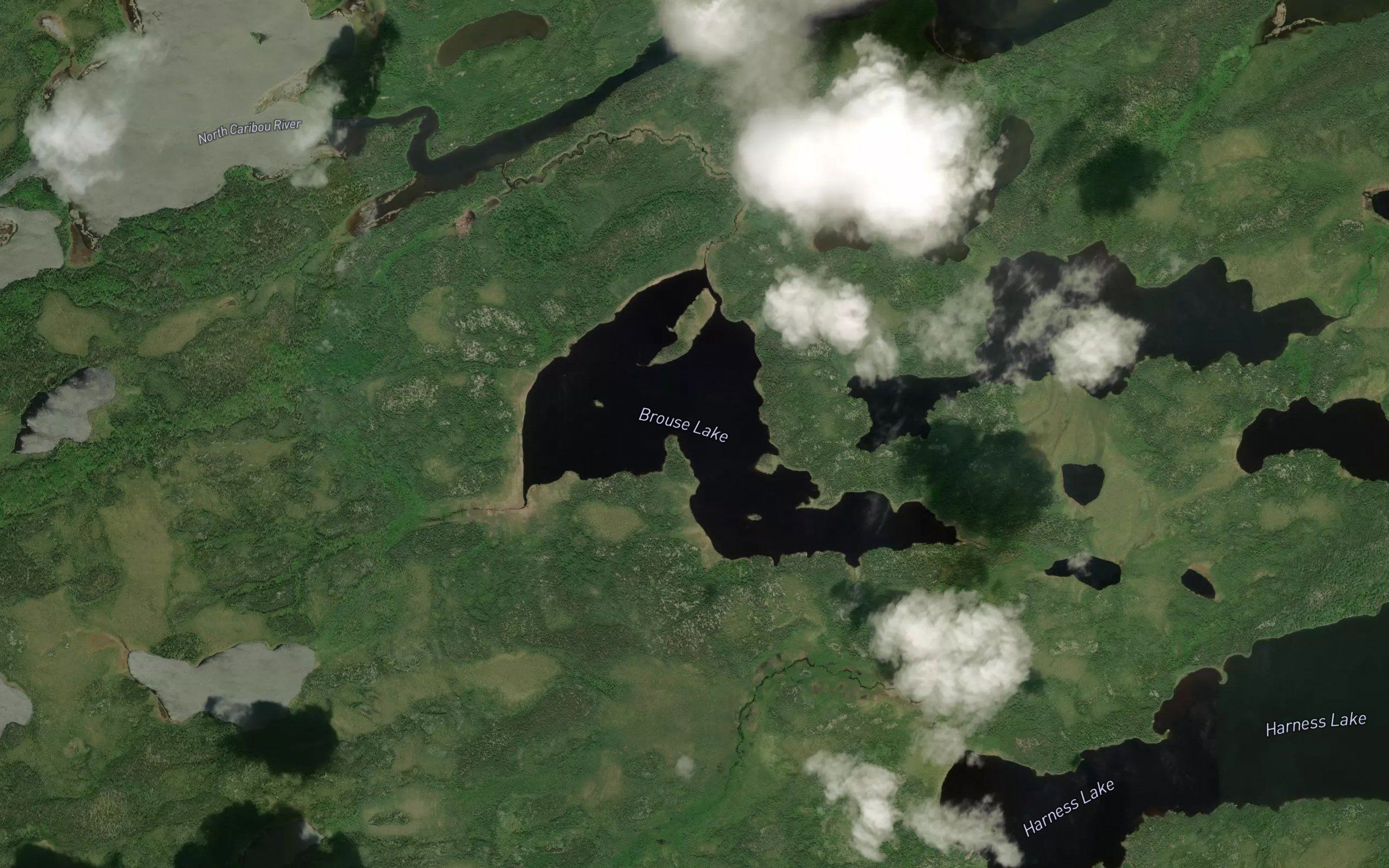 Brouse Lake