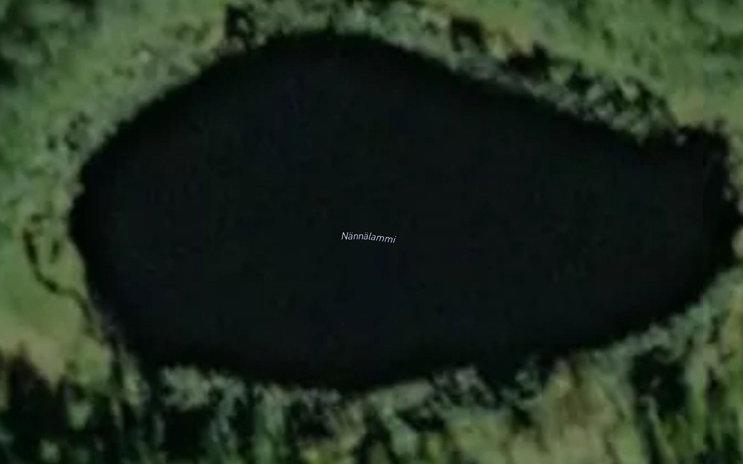 Nannalammi