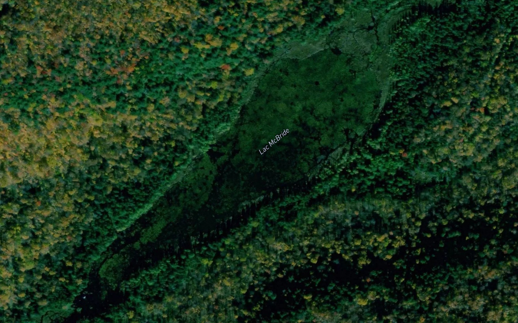 Satellite map of the Lac McBride