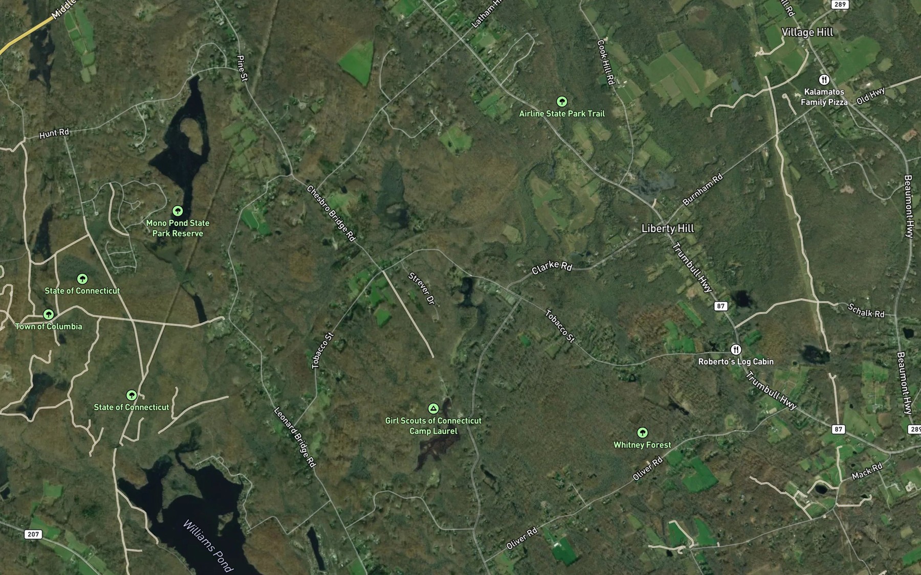 Satellite map of the Brousseous Brook