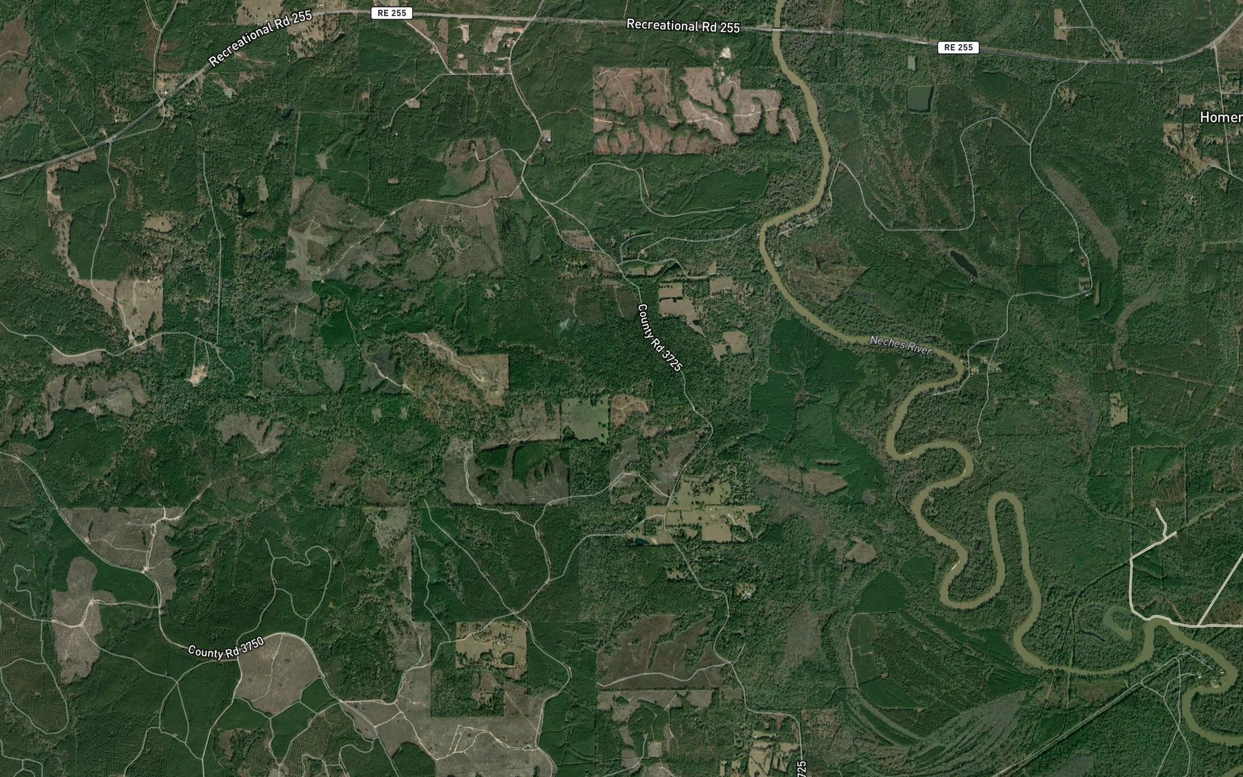 Satellite map of the Tatum Branch