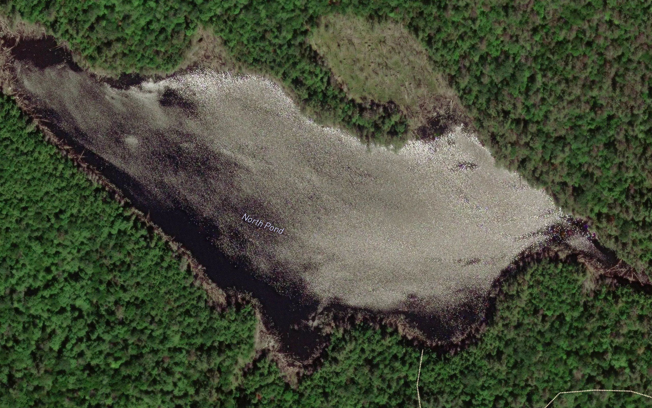 North Pond