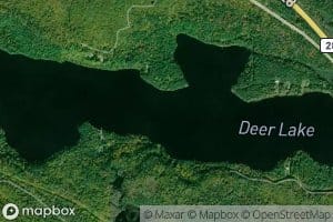 Deer Lake