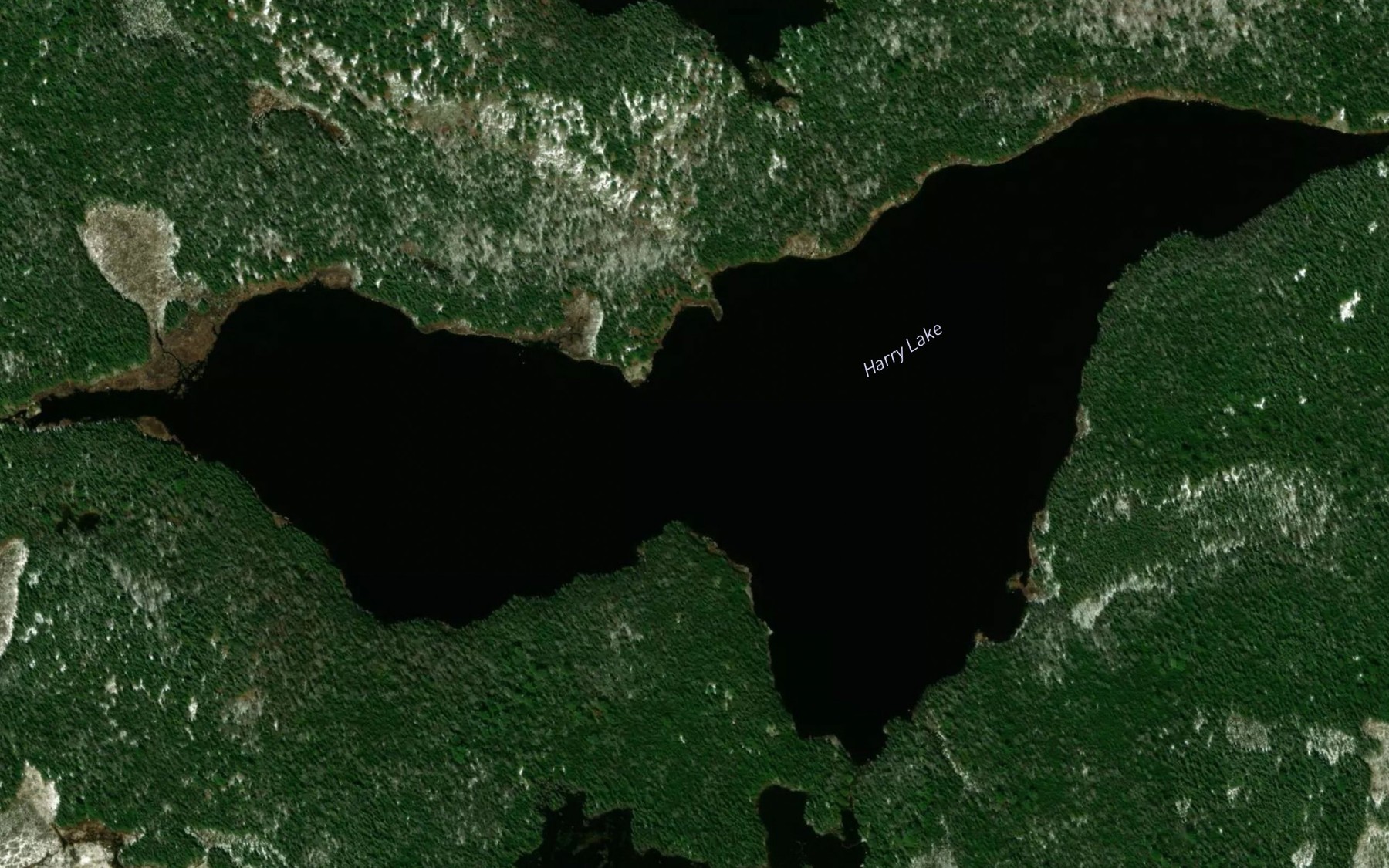 Satellite map of the Harry Lake