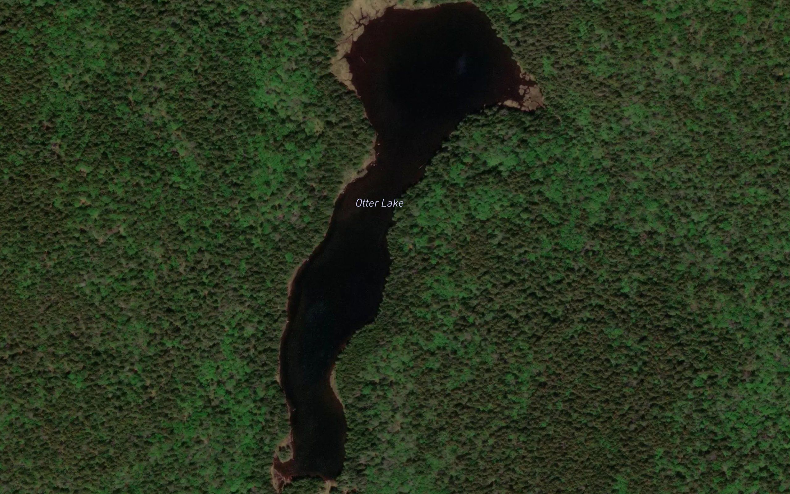 Otter Lake