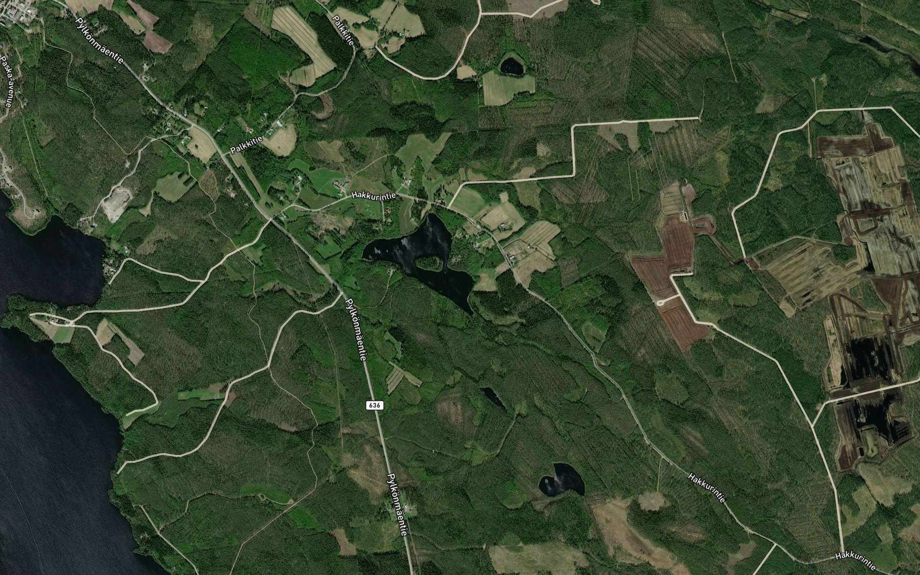 Satellite map of the Ruunuvedenlahti