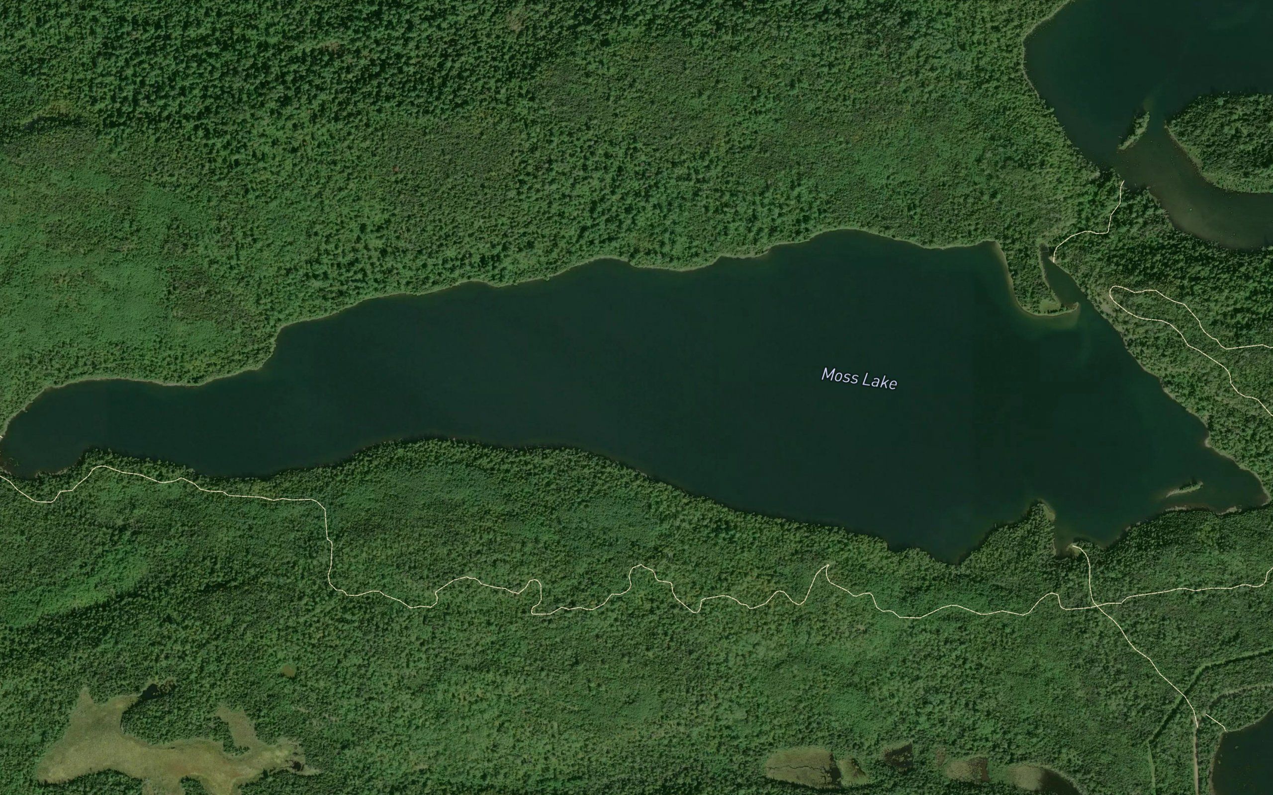 Moss Lake