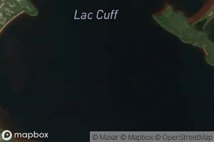 Lac Cuff