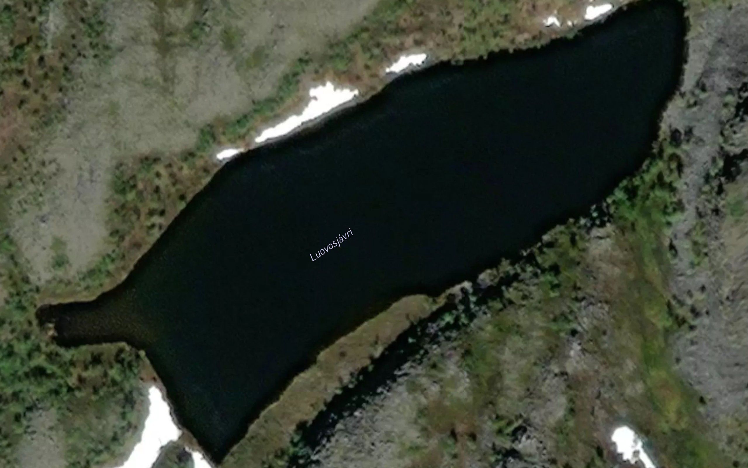 Luovusjavri