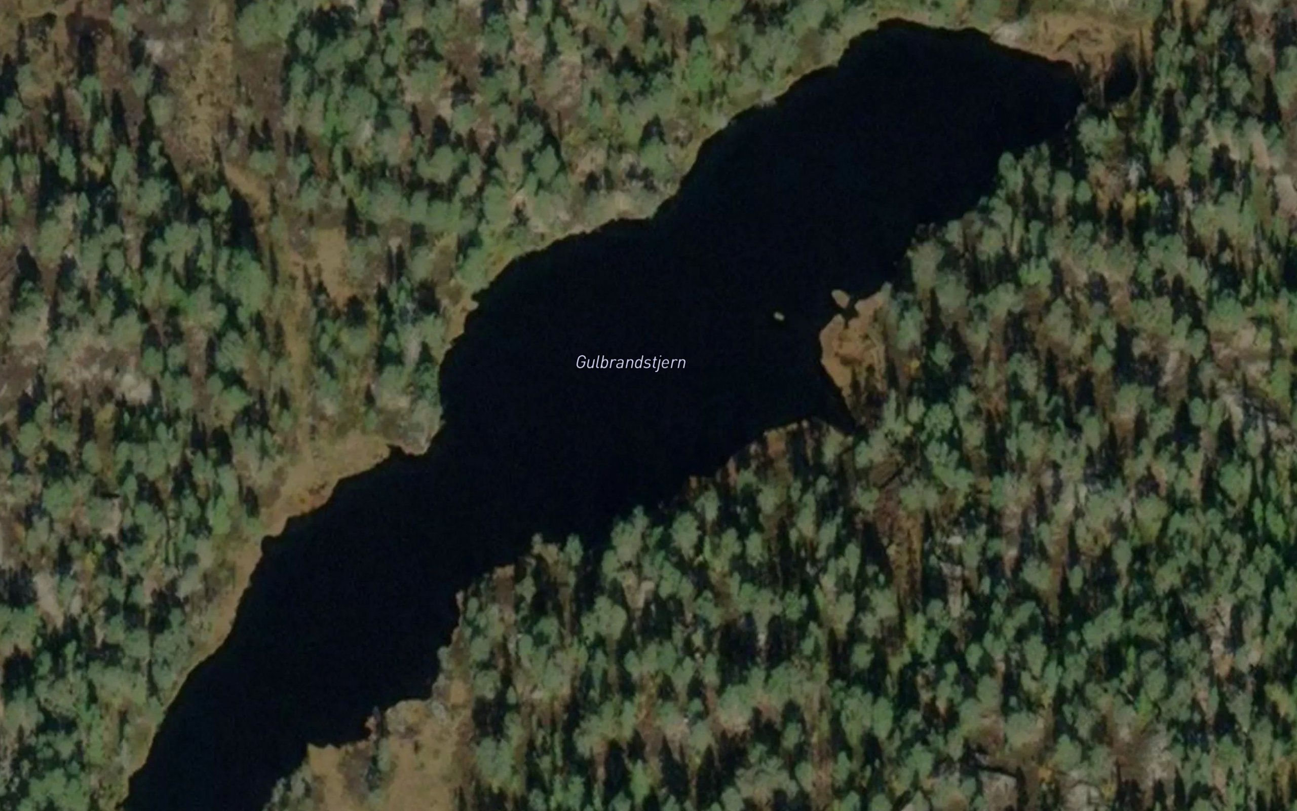 Gulbrandstjern